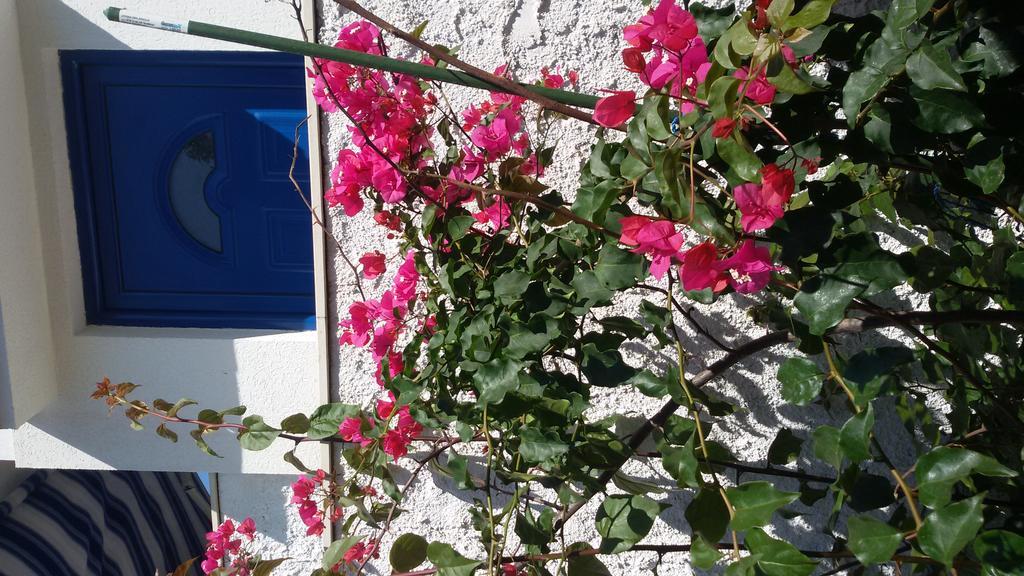 Apartment L.A. Tivat Luaran gambar